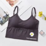 body shaper tops style padded bra | Gray color | Free Size (30-38)